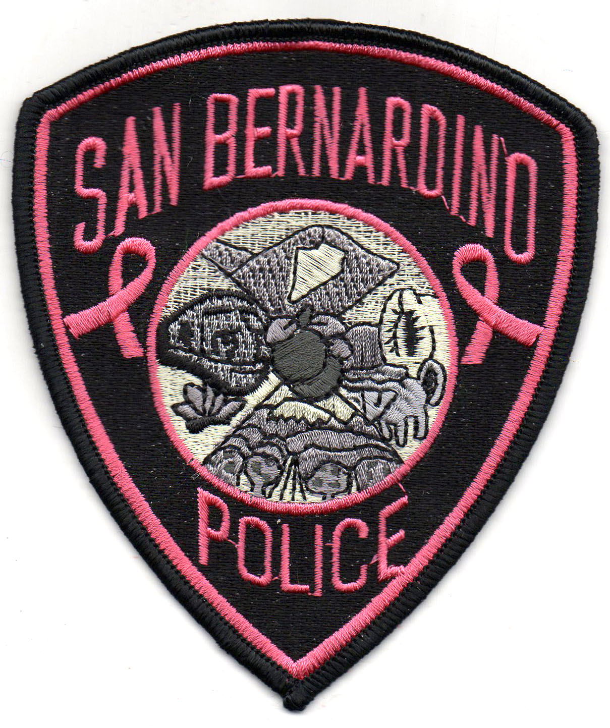 SBPD Pink Patch